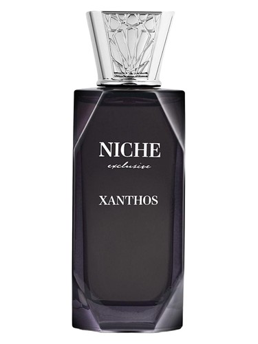 perfume Xanthos Niche Exclusive pro muže 