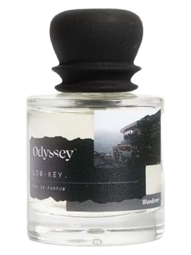 perfume Low-Key Odyssey pro ženy a muže 