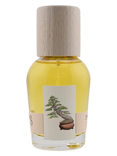 perfume The Idea of You Cirrus Parfum pro ženy a muže 