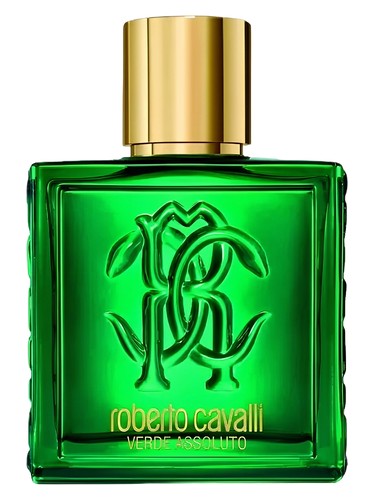 Roberto Cavalli Uomo Verde Assoluto