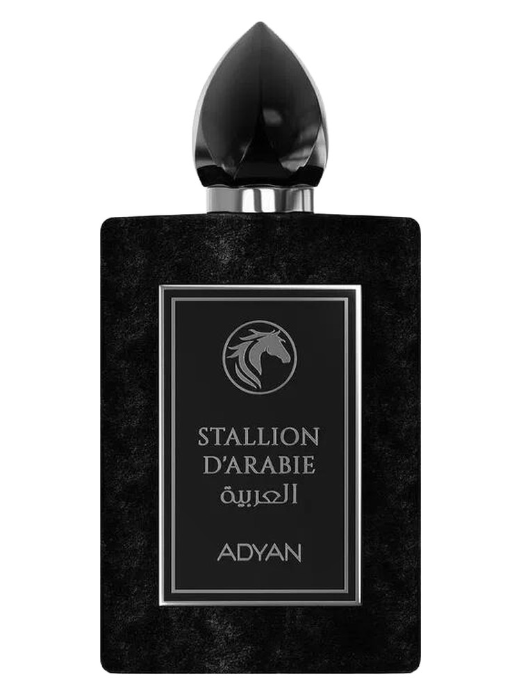 Stallion D'Arabie Adyan by Anfar cologne - a new fragrance for men 2025