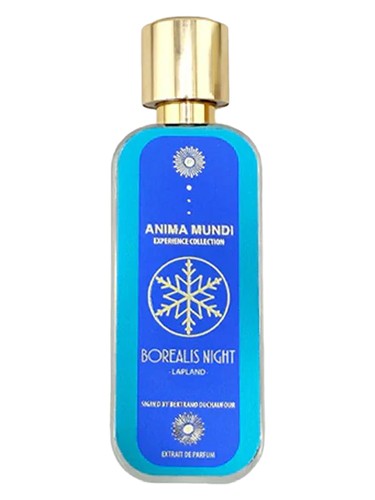 Anima Mundi Borealis Night