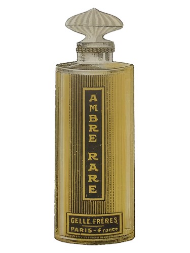 Ambre Rare