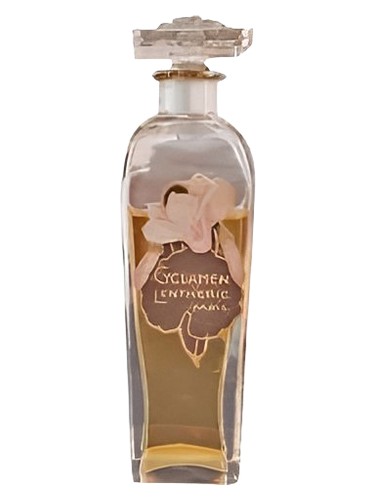 Cyclamen de la Savoy