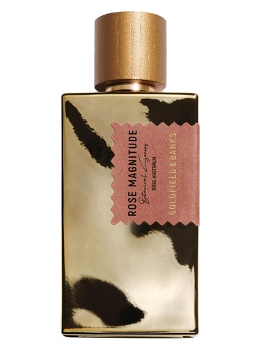 Goldfield & Banks Australia Rose Magnitude