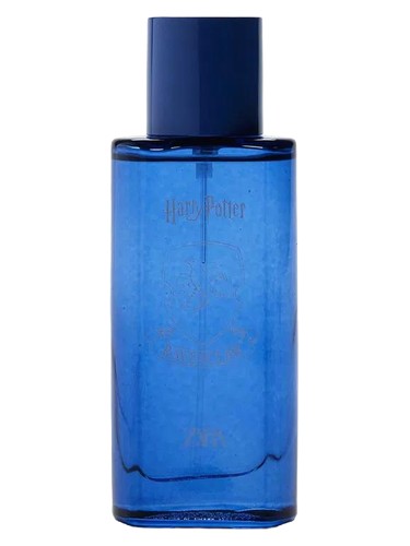 Harry Potter Ravenclaw