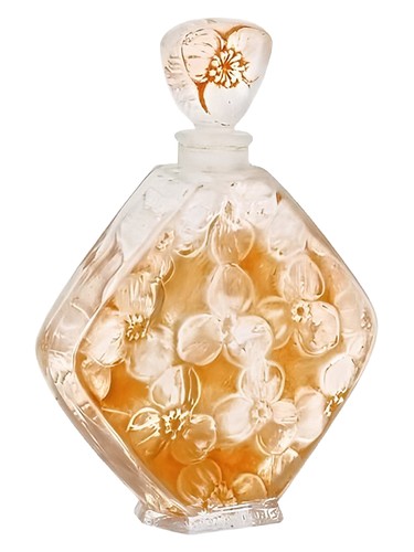 perfume Napée Volnay ユニセックス