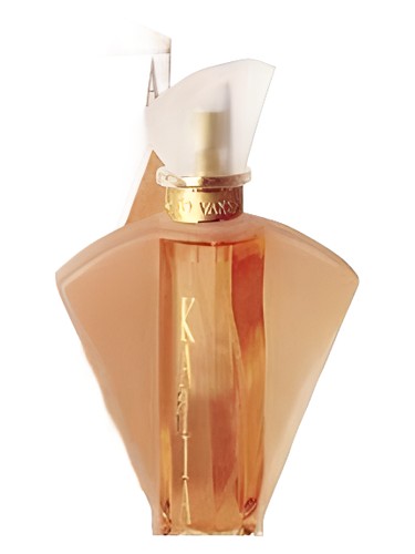 perfume Katia Vakko pro ženy 