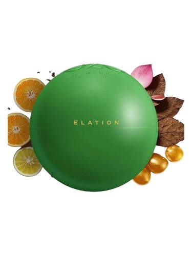 perfume Elation Eze pro muže 