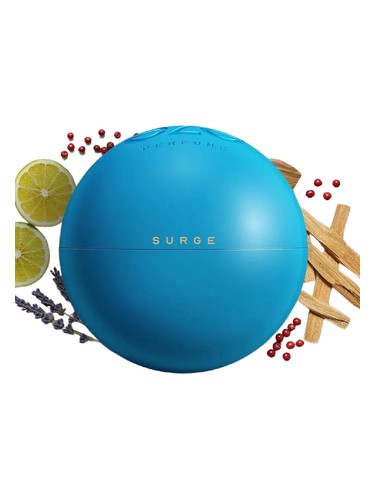 perfume Surge Eze pro muže 