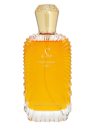 perfume Dreamy Chic Sir Parfumer DNA 2030 ユニセックス