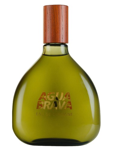 Agua Brava Antonio Puig pro muže 