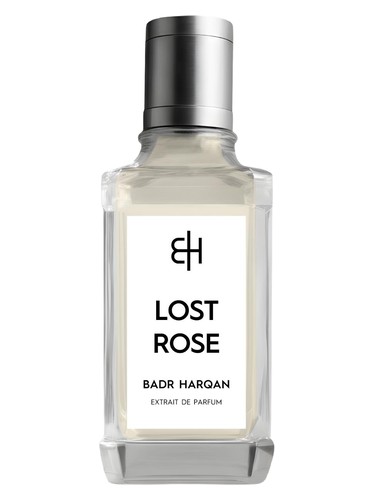 Lost Rose by Badr Harqan