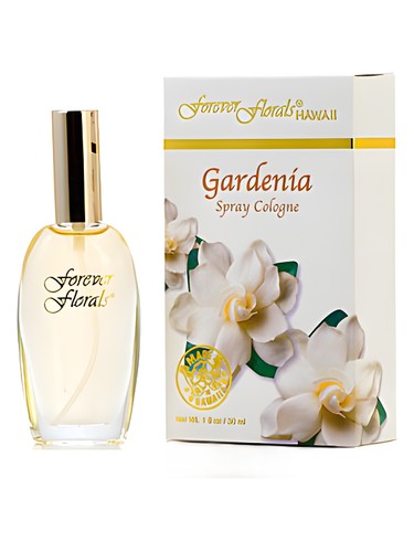 香水(女性用) Hawaii    ForeverFlorals Amazon.com : HAWAII FOREVER FLORALS PLUMERIA PERFUME
