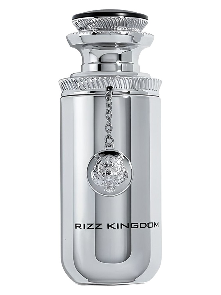 Rizz Kingdom Rizz perfume - a fragrance for women and men