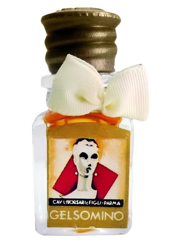 Gelsomino by Borsari
