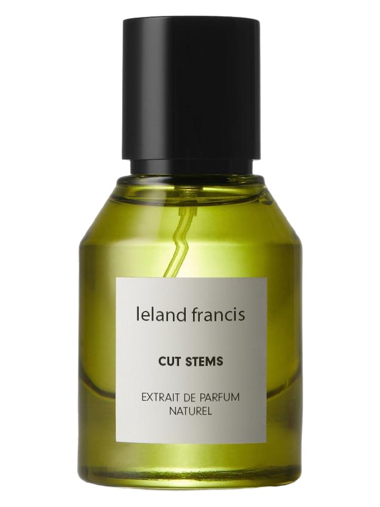 cut-stems-leland-francis-perfume-a-fragrance-for-women-and-men