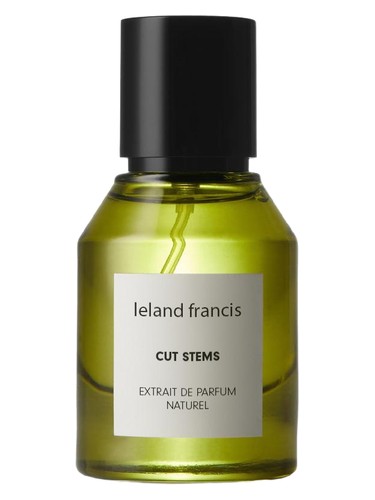 Cut Stems by Leland Francis