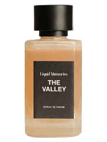 The Valley by Liquid Memories