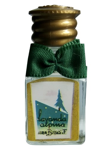 Lavanda Alpina by Borsari