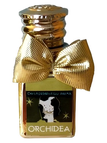 Orchidea