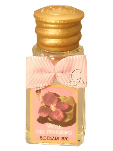 Viole del Pensiero by Borsari