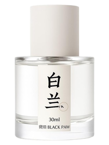 白兰 / Magnolia by Black Paw