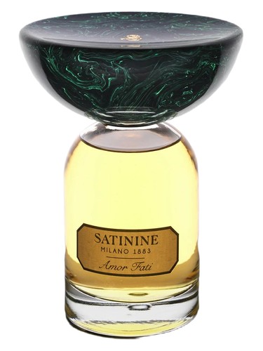 Amor Fati by Satinine
