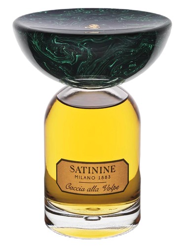 Caccia alla Volpe by Satinine