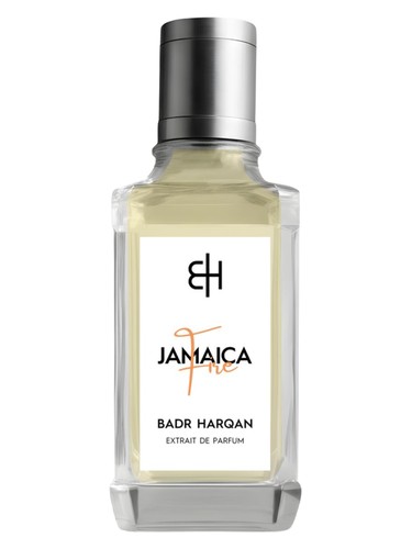Jamaica Fire by Badr Harqan