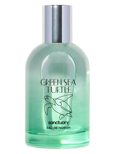 Green Sea Turtle by Sanctuary
