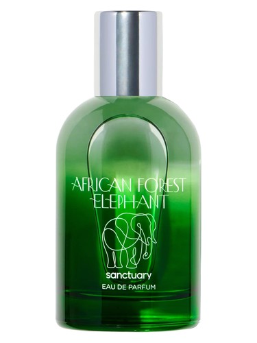 African Forest Elephant by Sanctuary