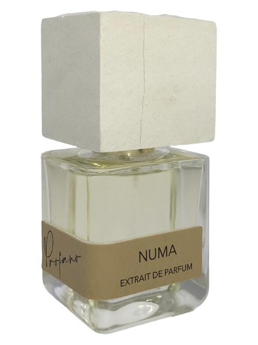 Numa by Profano