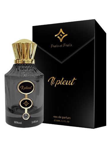 Il Pleut by Frais Et Frais