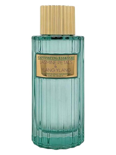 Cashmere & Coconut by Captivating Essences