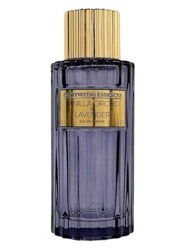 Vanilla Orchid & Lavender