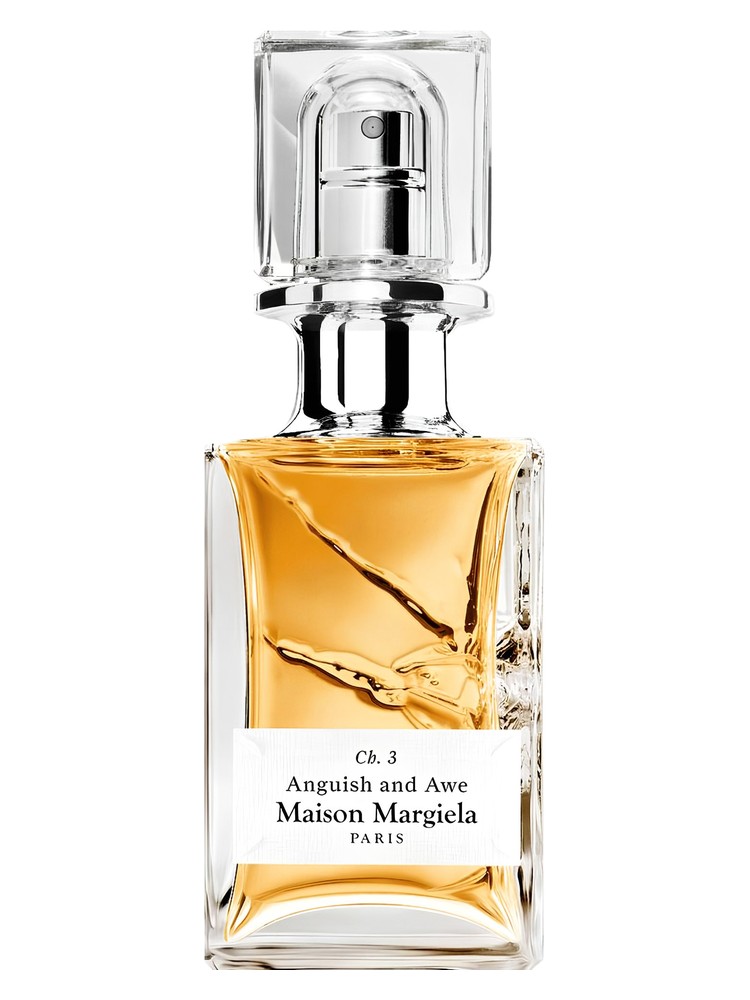 Anguish & Awe Maison Martin Margiela perfume - a new fragrance for ...