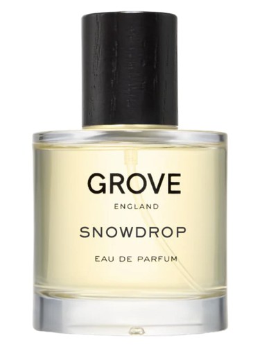 Snowdrop by Grove England