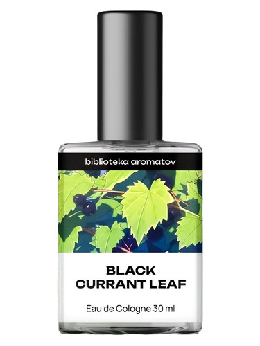 Black Currant Leaf by biblioteka aromatov