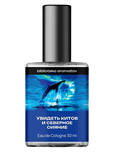Watching whales and the northern lights (Увидеть китов и северное сияние)