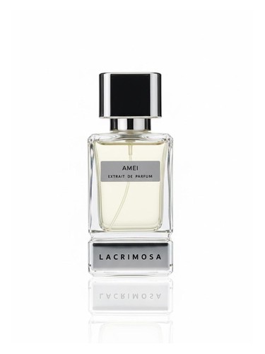 Amei by Lacrimosa