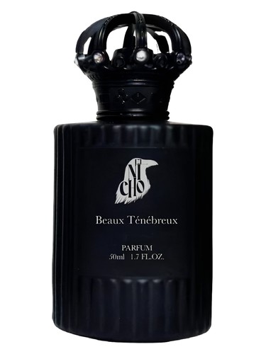 Beaux Ténébreux by Daniel Josier