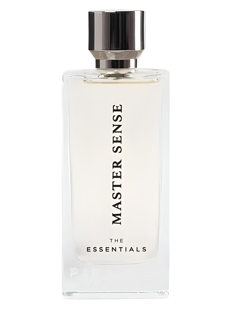 Master Sense Paris Bleu Parfums cologne - a fragrance for men 2024