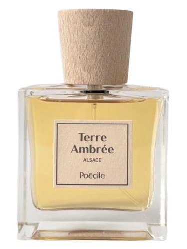 Terre Ambrée