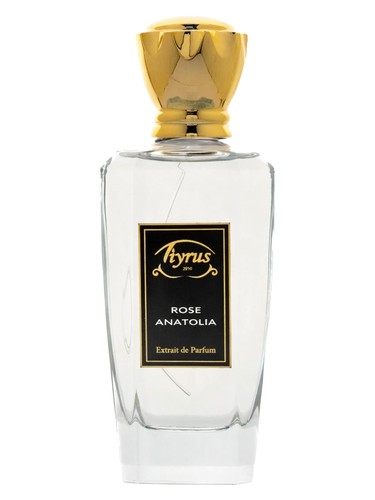 Rose of Anatolia by Tiyrus