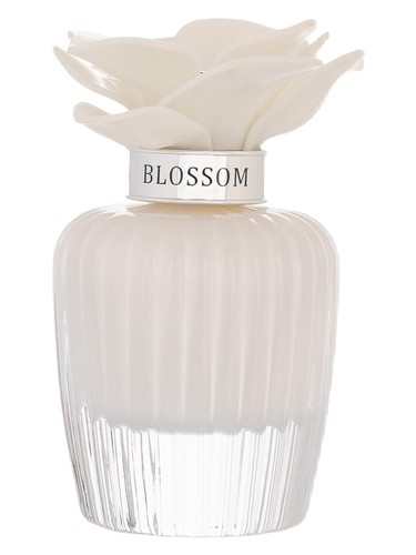 Nasma White Blossom by Assala Prime