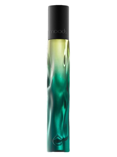 Fit MoodRoller by Moods
