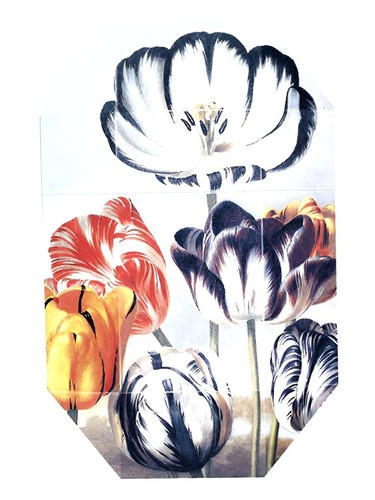 Print Collection Stella 02 (2011) Stella McCartney pro ženy