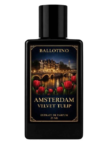 Amsterdam Velvet Tulip by Ballotino