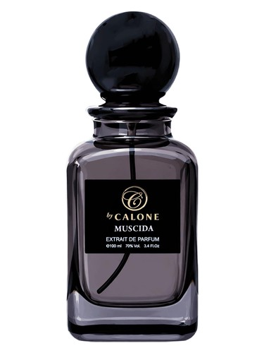 Muscida by by Calone